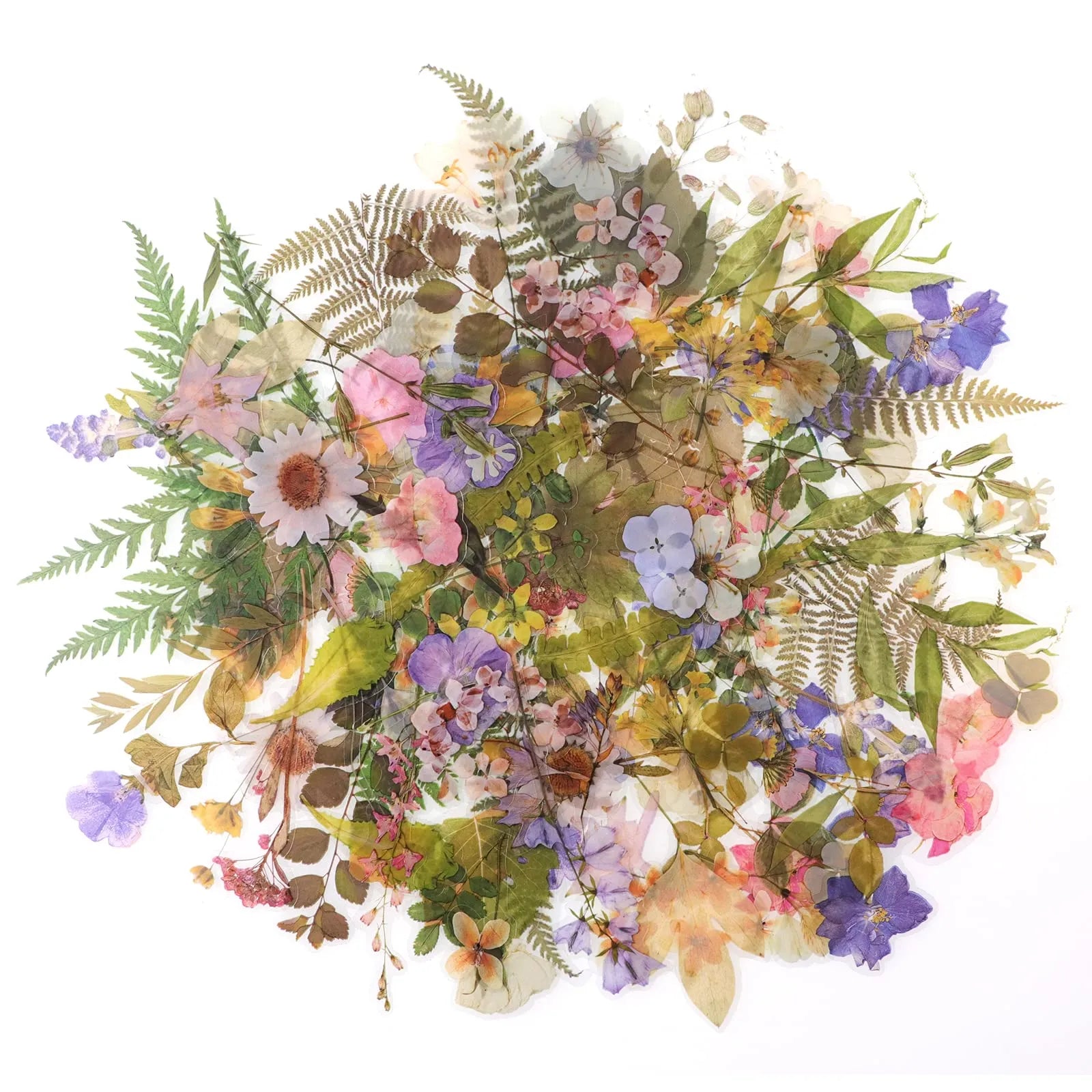 160pcs Pre-Cut Scrapbooks Natural Stickers