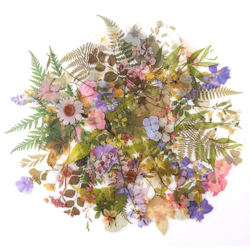 160pcs Pre-Cut Scrapbooks Natural Stickers