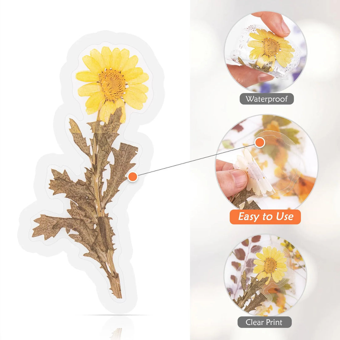 160pcs Pre-Cut Scrapbooks Natural Stickers