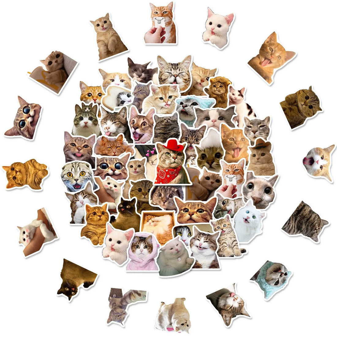 Cat stickers Internet celebrity cat emojis