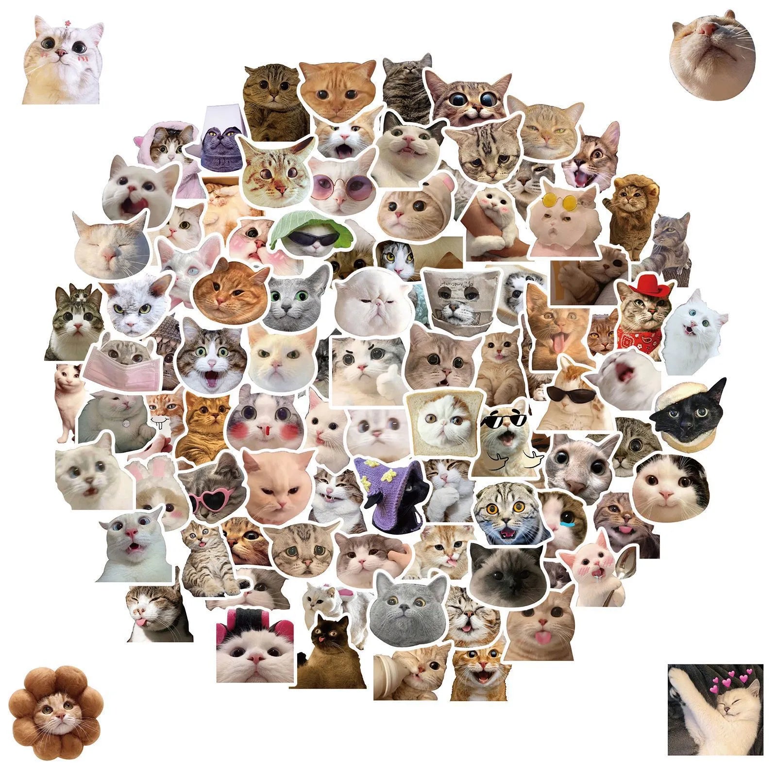 Cat stickers Internet celebrity cat emojis