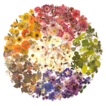 6 Set Pressed Flower Stickers Set